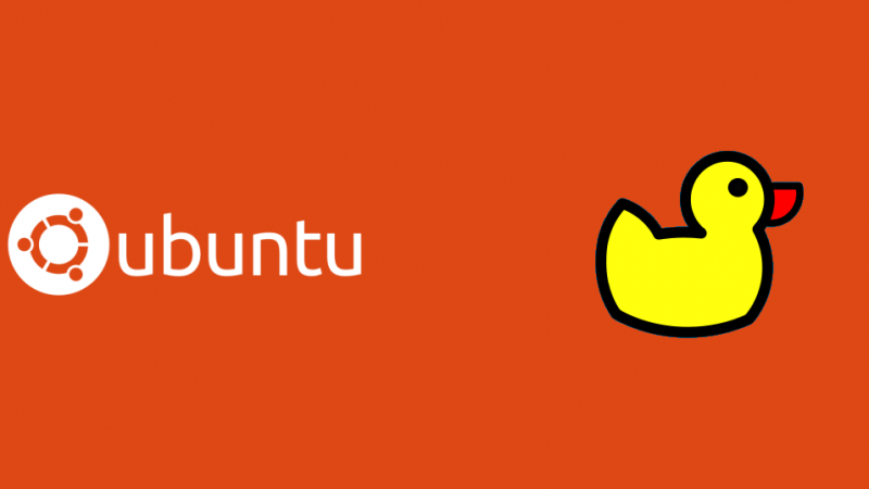 在 Ubuntu 上使用 DuckDNS 的 DDNS 服務 - 封面圖